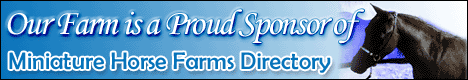 Our Farm is a Proud Sponsor of Miniature Horse Farms Directory - Add your FREE Listing Today!