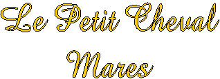 Welcome to
Le Petit Cheval!